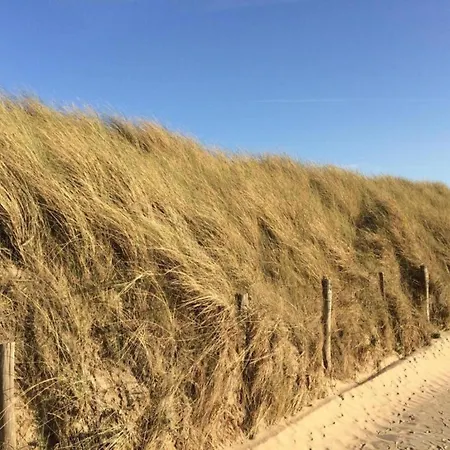 In Near The * Wenduine