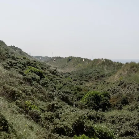 In Near The